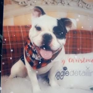 Meet your Posher, Candace